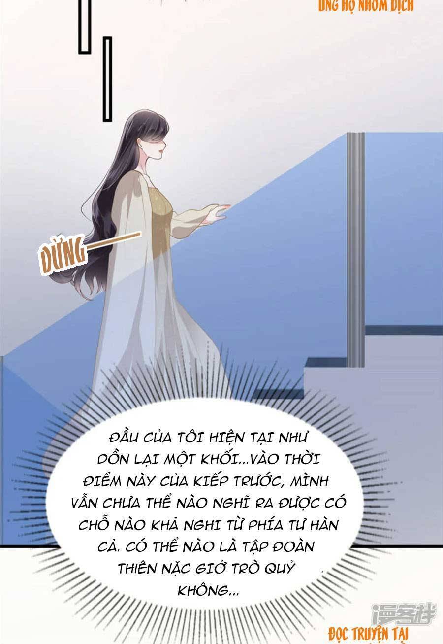 Trọng Sinh Trở Lại: Sủng Nịch Độc Nhất Vô Nhị Chapter 201 - Trang 2