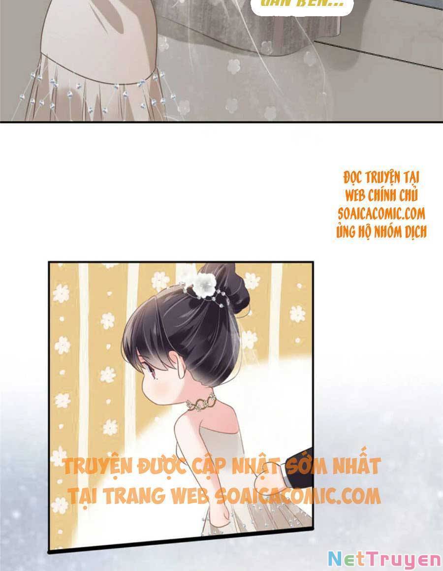 Trọng Sinh Trở Lại: Sủng Nịch Độc Nhất Vô Nhị Chapter 215 - Trang 2