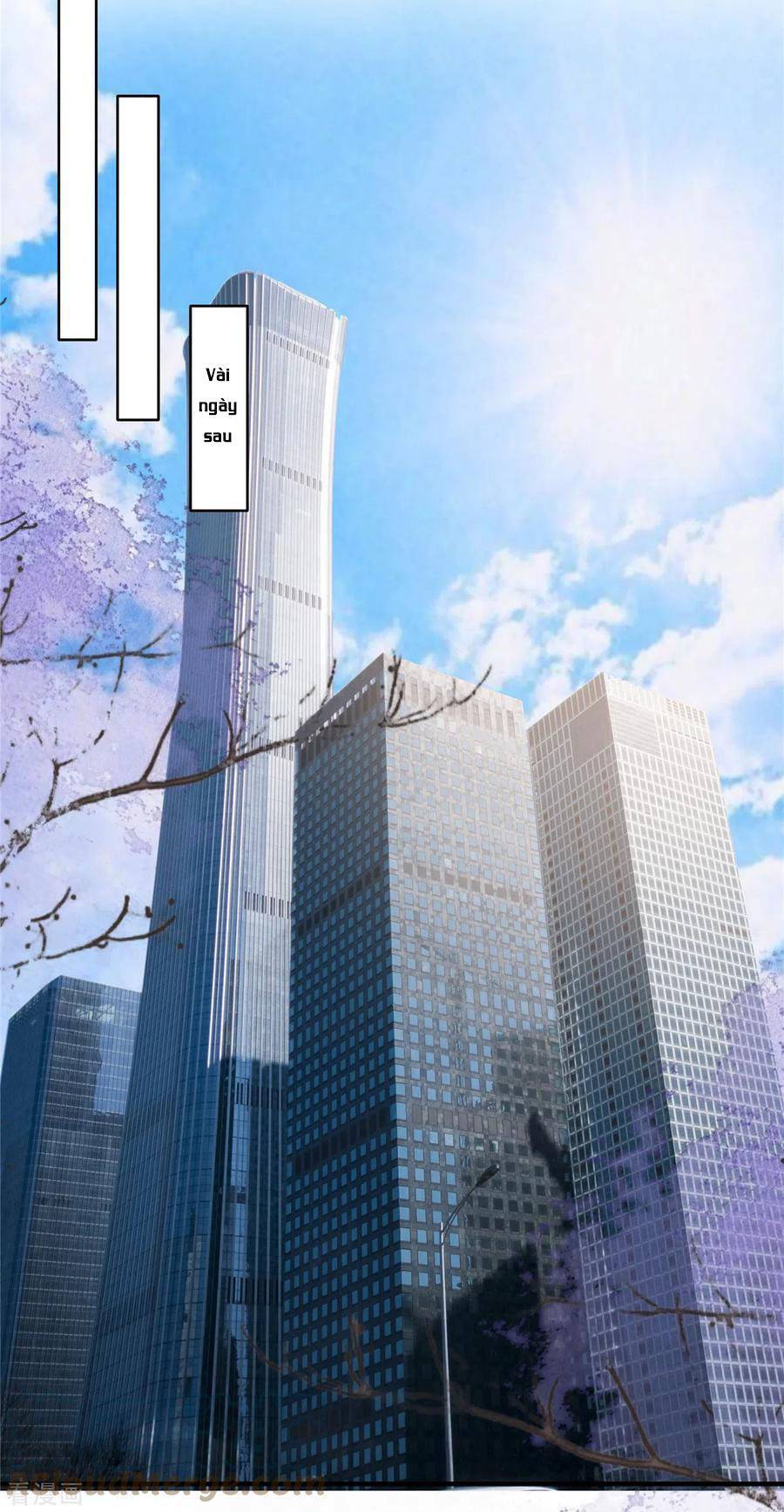 Trọng Sinh Trở Lại: Sủng Nịch Độc Nhất Vô Nhị Chapter 224 - Trang 2