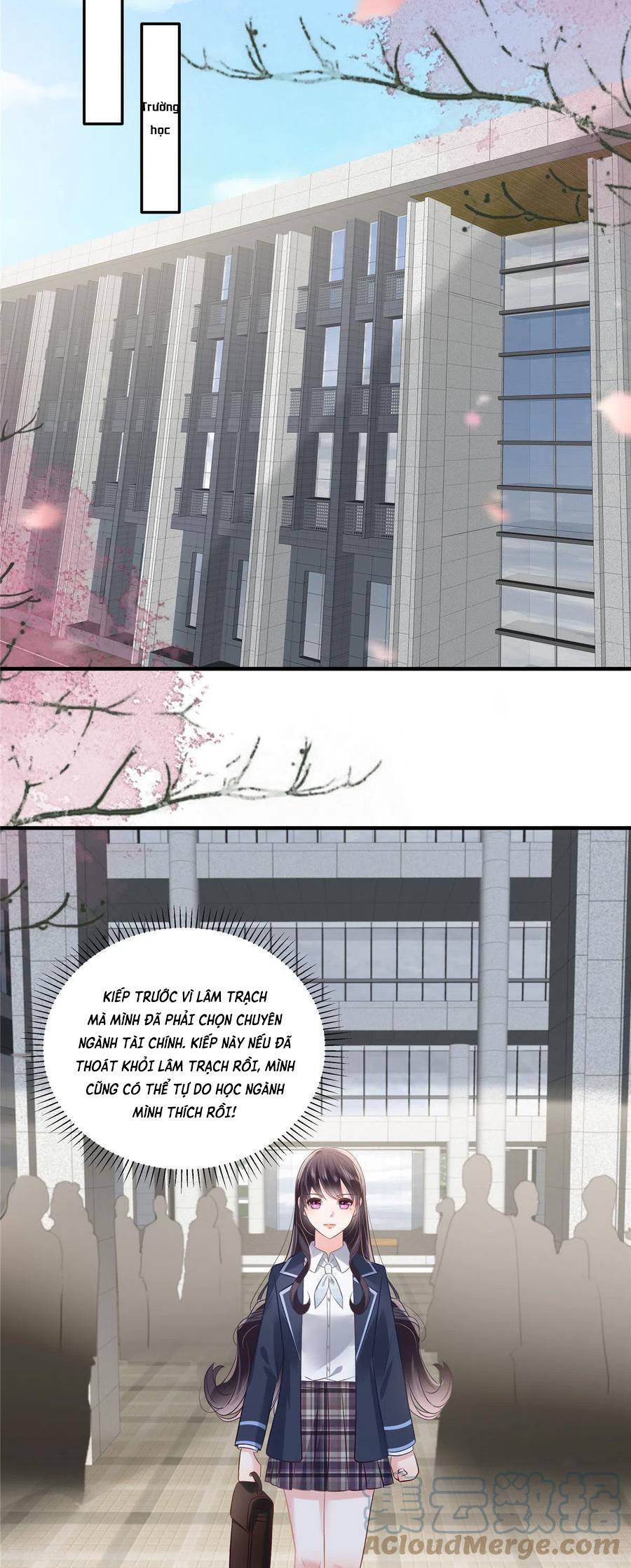 Trọng Sinh Trở Lại: Sủng Nịch Độc Nhất Vô Nhị Chapter 224 - Trang 2