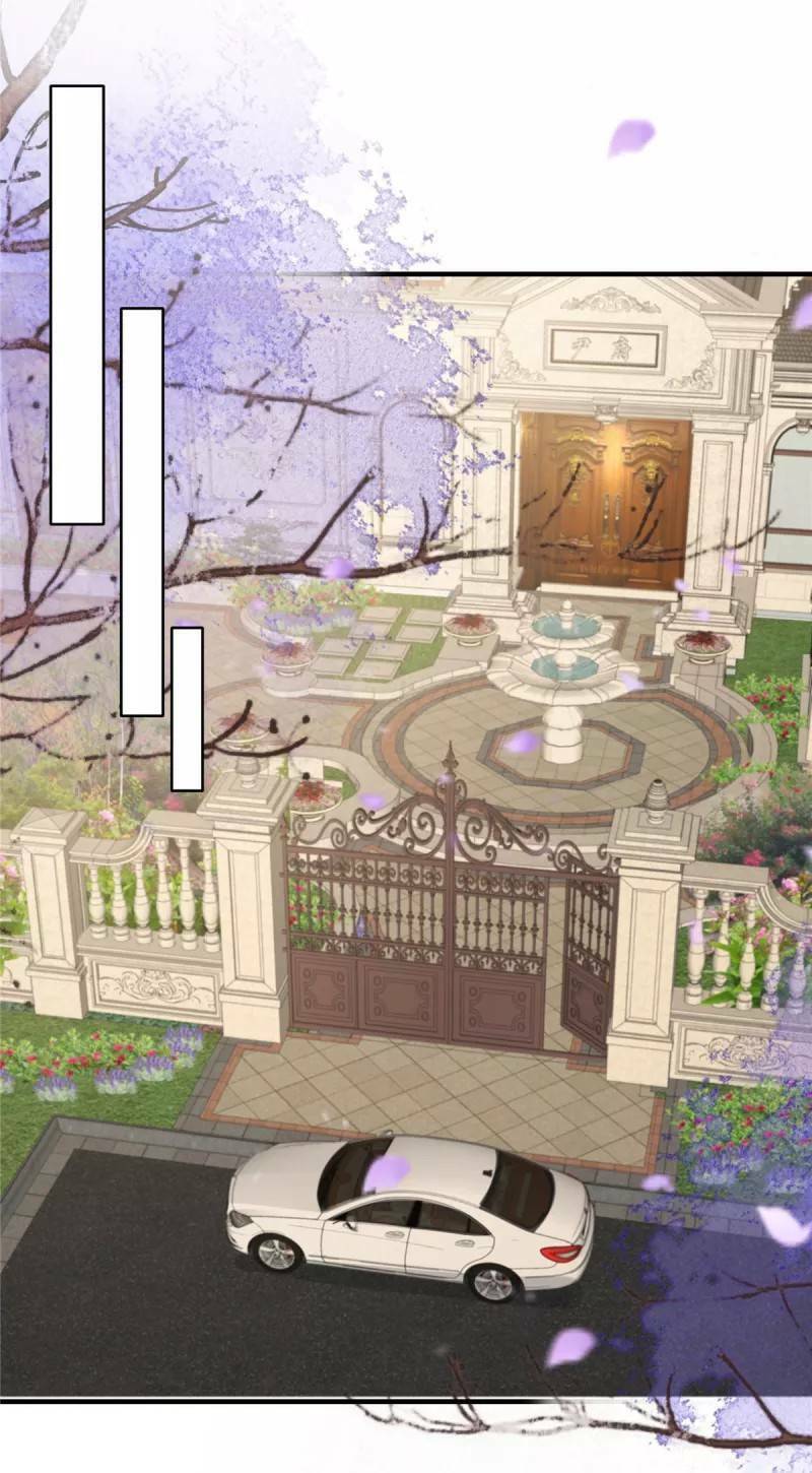 Trọng Sinh Trở Lại: Sủng Nịch Độc Nhất Vô Nhị Chapter 226 - Trang 2