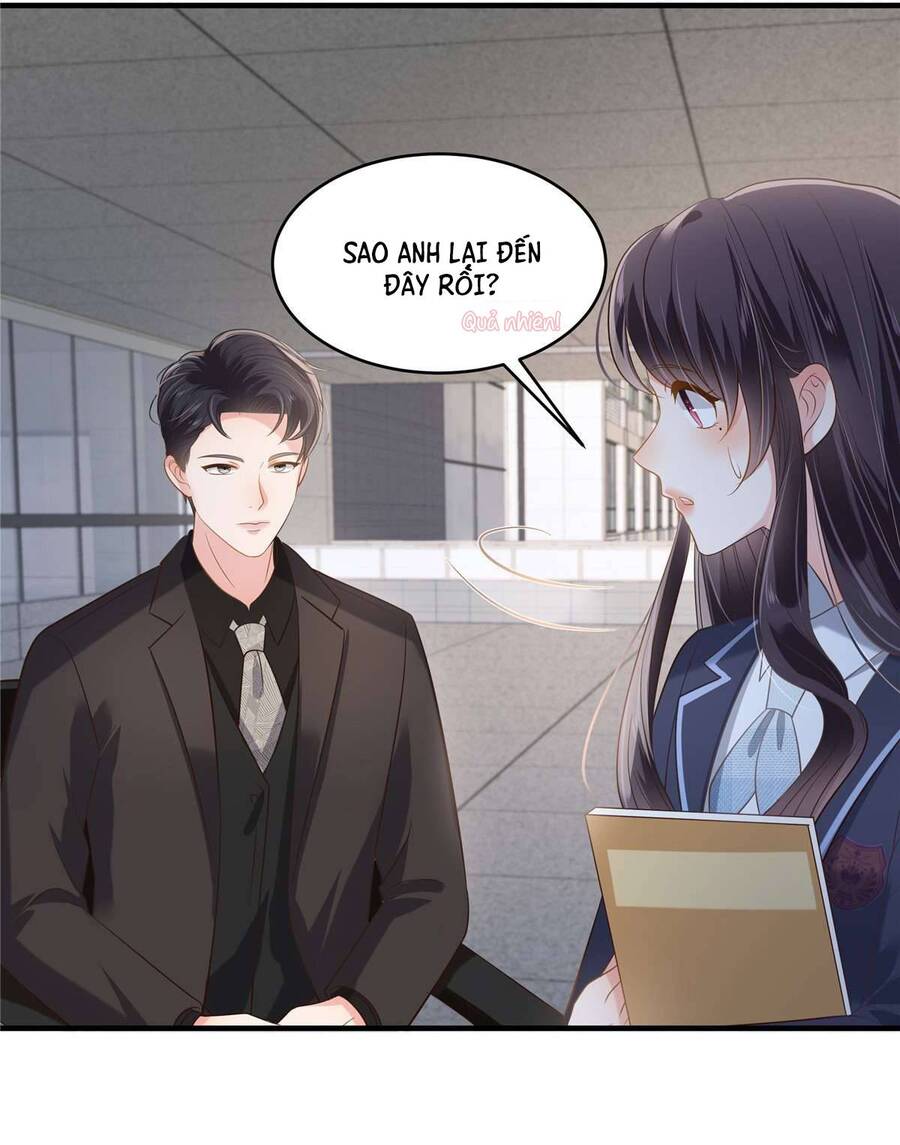 Trọng Sinh Trở Lại: Sủng Nịch Độc Nhất Vô Nhị Chapter 230 - Trang 2