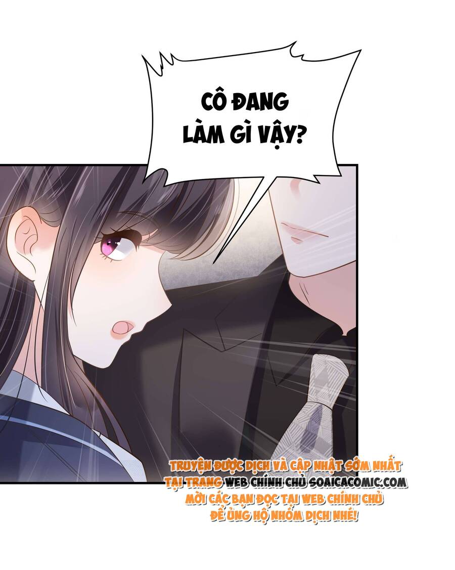 Trọng Sinh Trở Lại: Sủng Nịch Độc Nhất Vô Nhị Chapter 232 - Trang 2