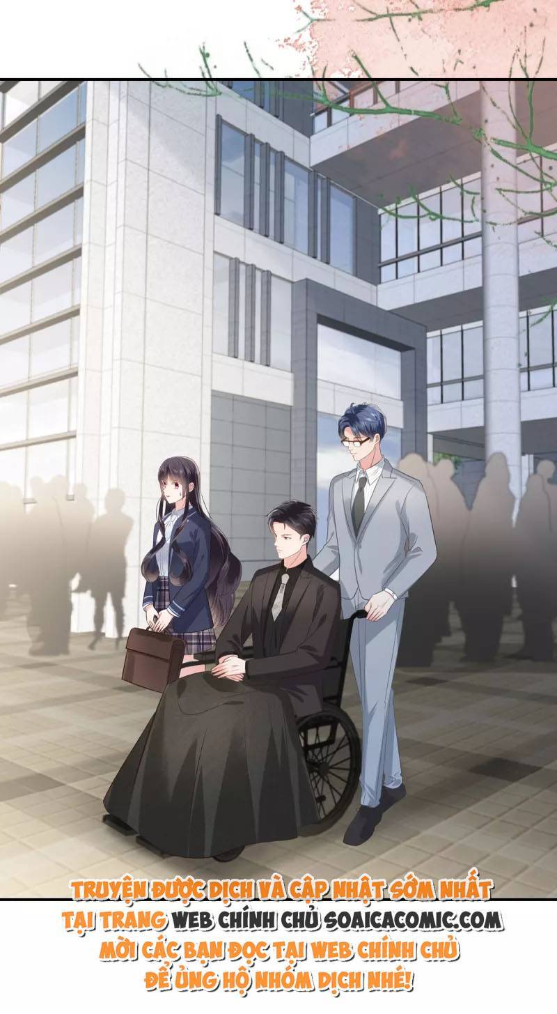 Trọng Sinh Trở Lại: Sủng Nịch Độc Nhất Vô Nhị Chapter 235 - Trang 2