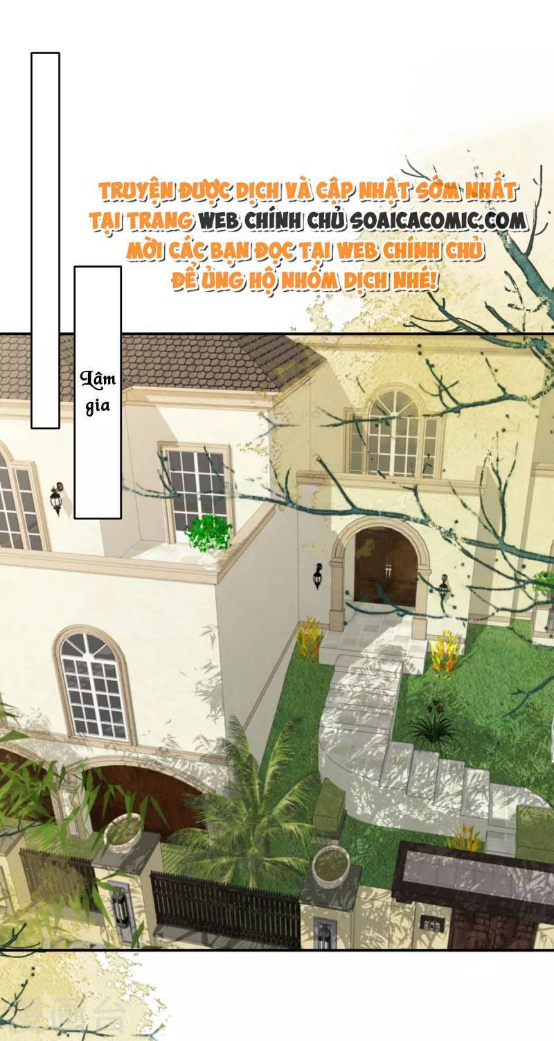 Trọng Sinh Trở Lại: Sủng Nịch Độc Nhất Vô Nhị Chapter 235 - Trang 2