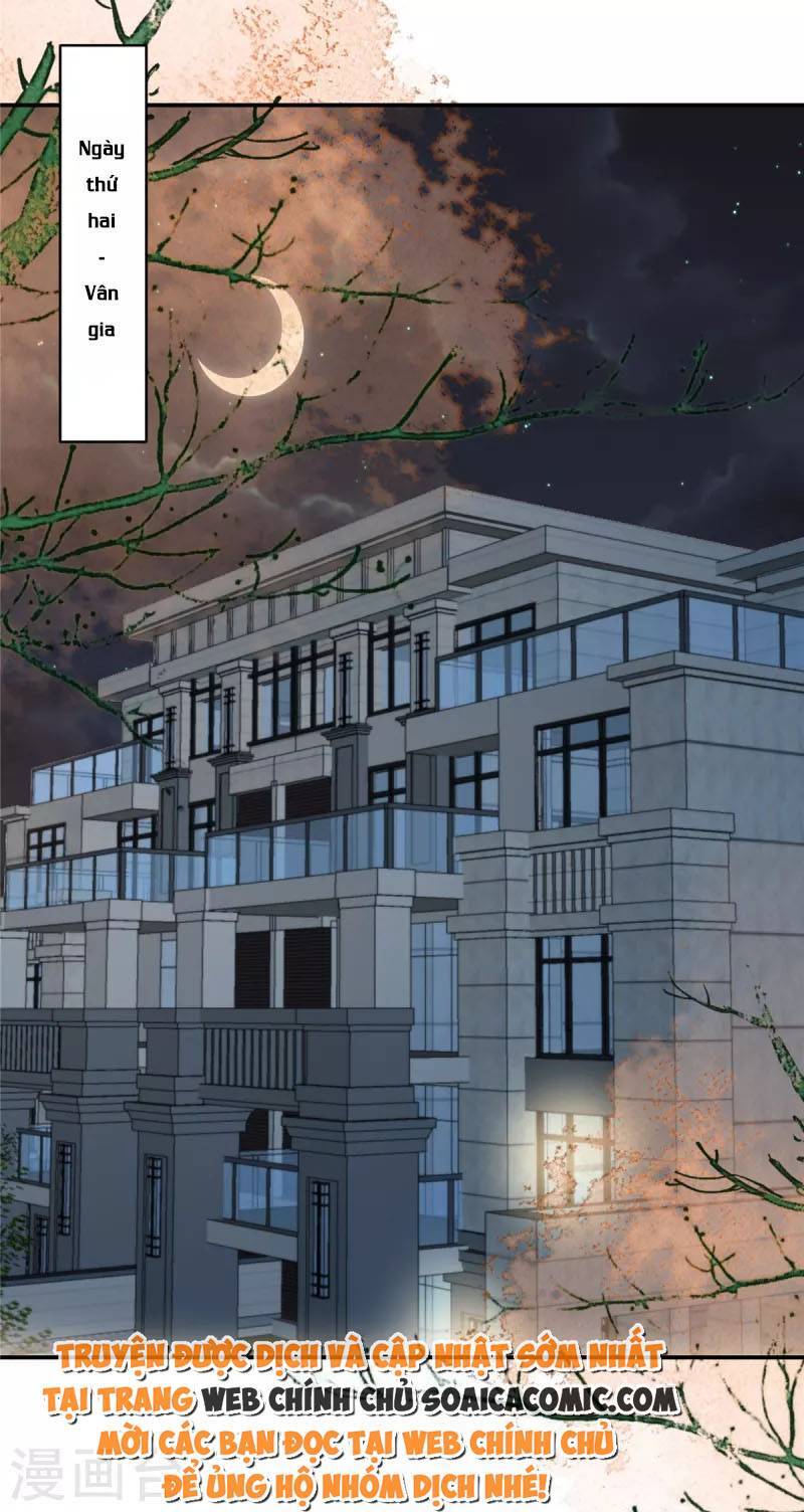 Trọng Sinh Trở Lại: Sủng Nịch Độc Nhất Vô Nhị Chapter 239 - Trang 2