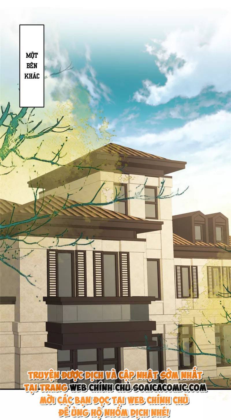 Trọng Sinh Trở Lại: Sủng Nịch Độc Nhất Vô Nhị Chapter 241 - Trang 2