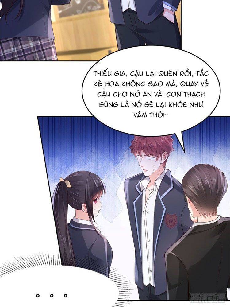 Trọng Sinh Trở Lại: Sủng Nịch Độc Nhất Vô Nhị Chapter 52 - Trang 2