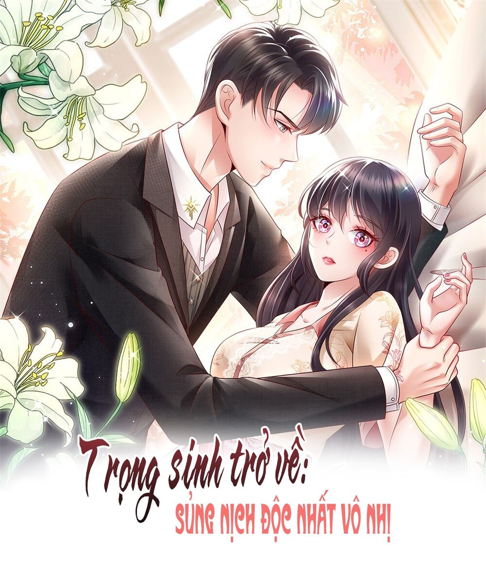 Trọng Sinh Trở Lại: Sủng Nịch Độc Nhất Vô Nhị Chapter 8 - Trang 2
