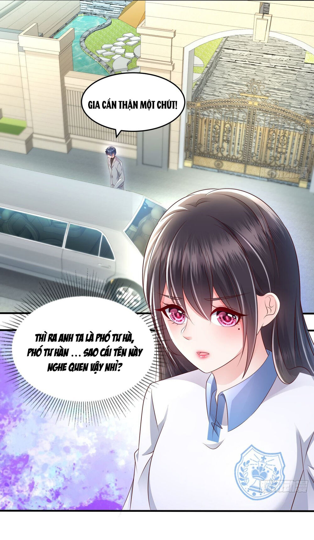 Trọng Sinh Trở Lại: Sủng Nịch Độc Nhất Vô Nhị Chapter 8 - Trang 2