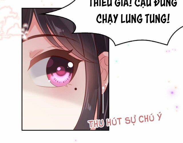 Trọng Sinh Trở Lại: Sủng Nịch Độc Nhất Vô Nhị Chapter 85 - Trang 2