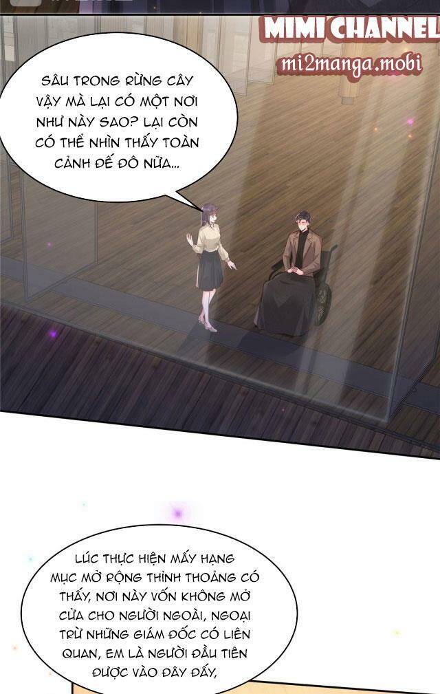 Trọng Sinh Trở Lại: Sủng Nịch Độc Nhất Vô Nhị Chapter 88 - Trang 2