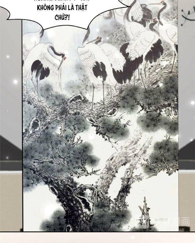 Trọng Sinh Trở Lại: Sủng Nịch Độc Nhất Vô Nhị Chapter 91 - Trang 2