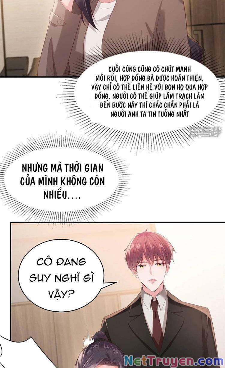 Trọng Sinh Trở Lại: Sủng Nịch Độc Nhất Vô Nhị Chapter 94 - Trang 2