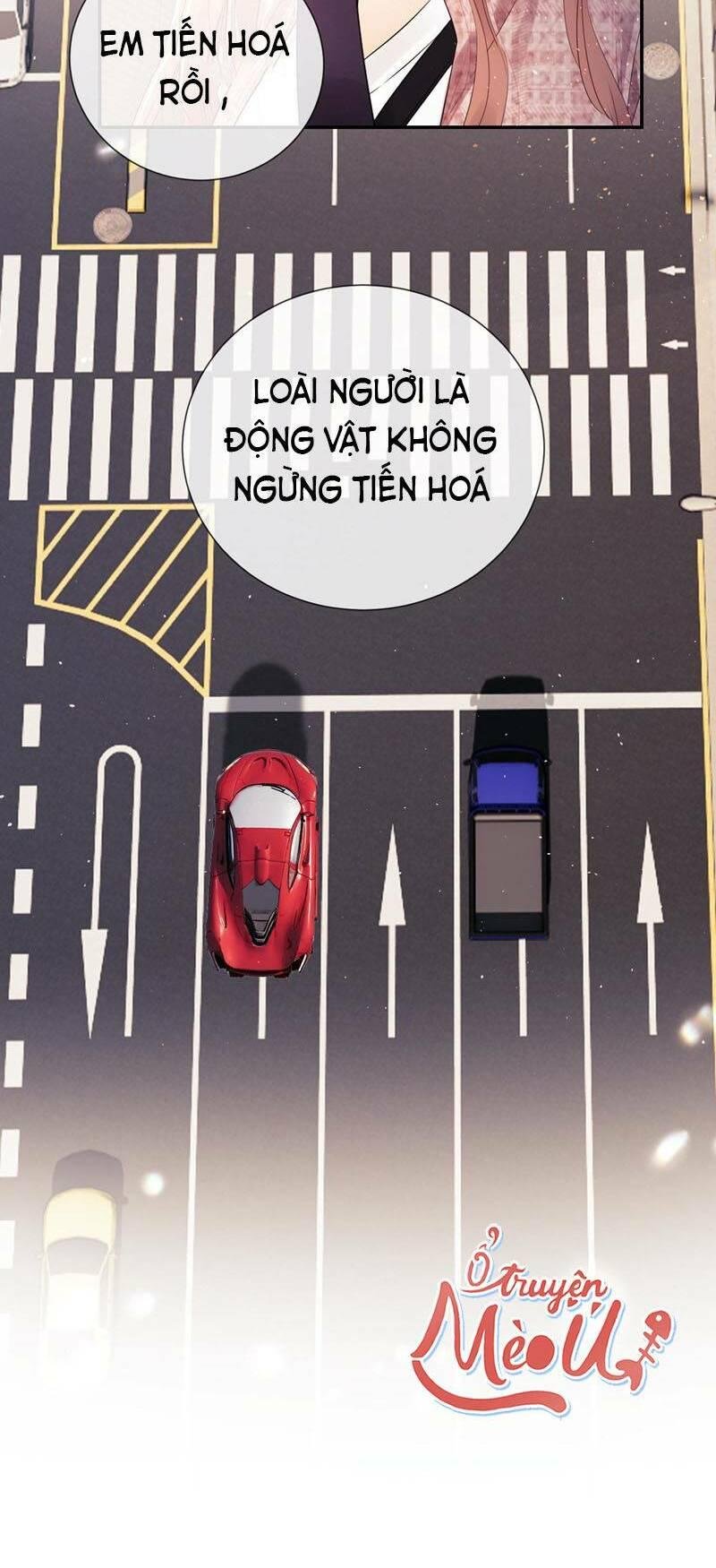 Trọng Sinh Trở Thành Fan” Vợ ” Của Thần Tượng Chapter 5 - Trang 2