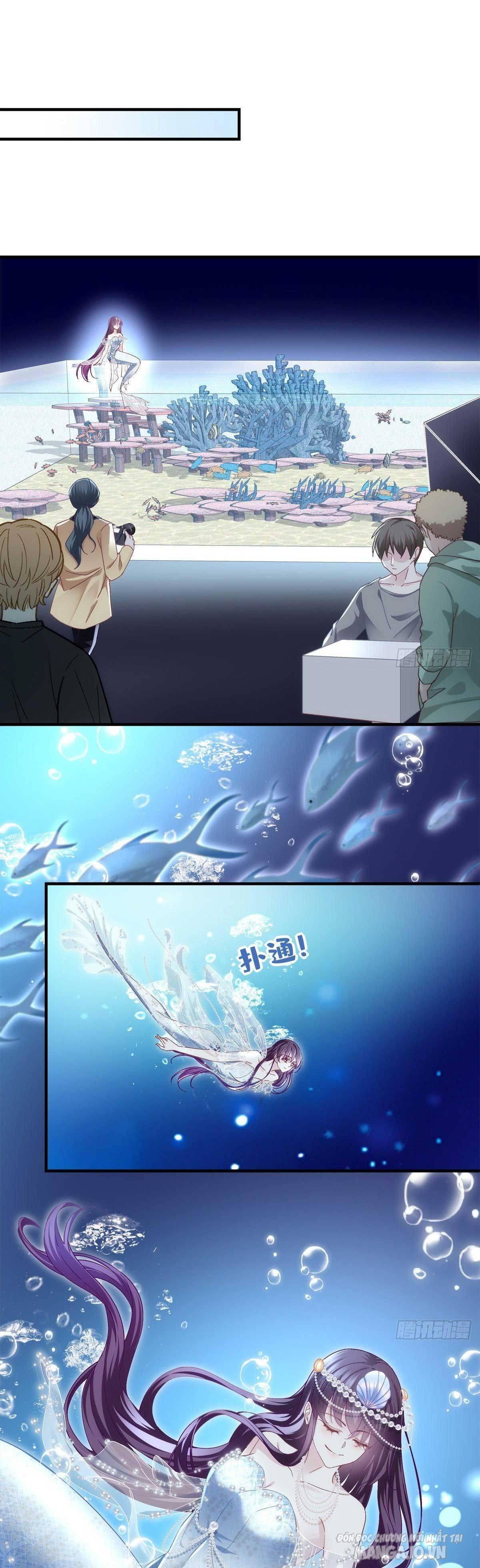 Trọng Sinh Về Chinh Phục Tổng Tài Chapter 66 - Trang 2