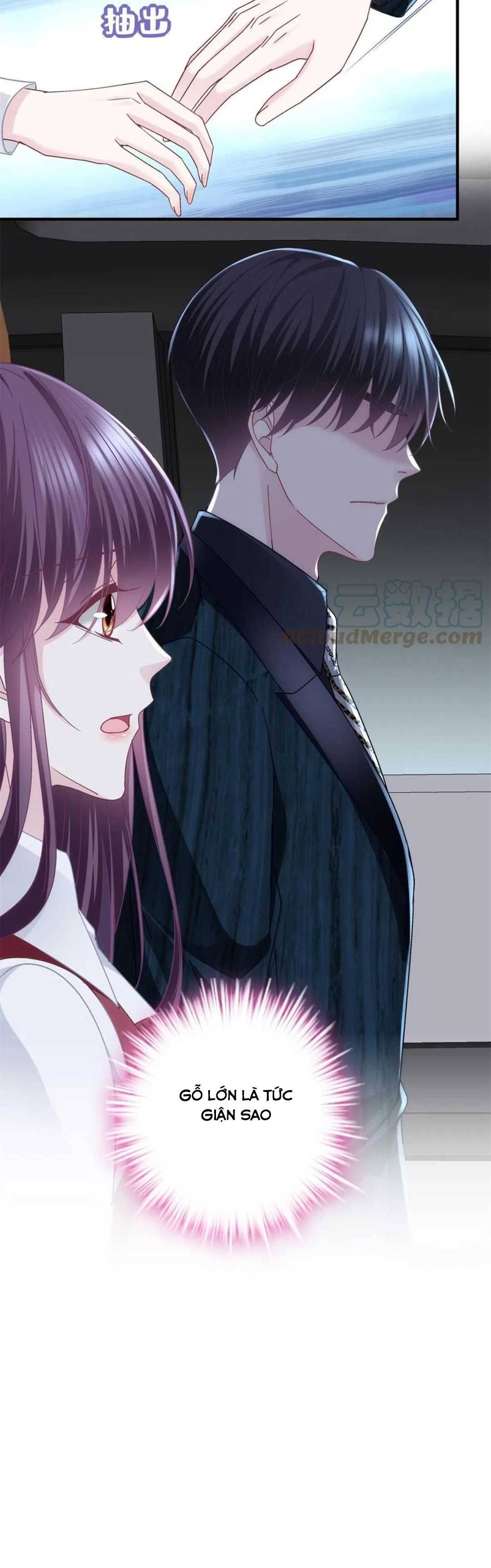 Trọng Sinh Về Chinh Phục Tổng Tài Chapter 96 - Trang 2