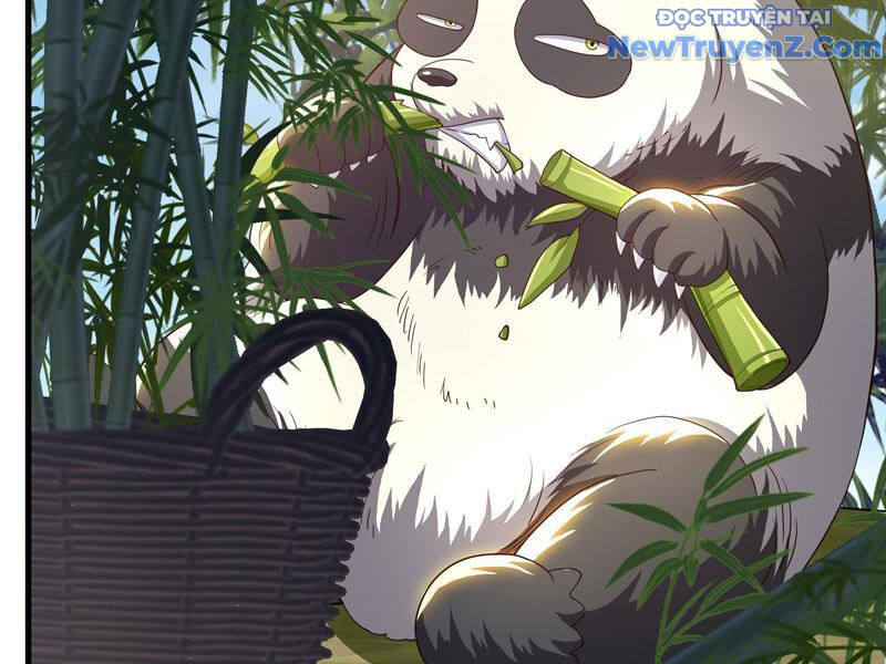 Trụ Vương Tái Sinh Không Muốn Làm Đại Phản Diện Chapter 105 - Trang 2