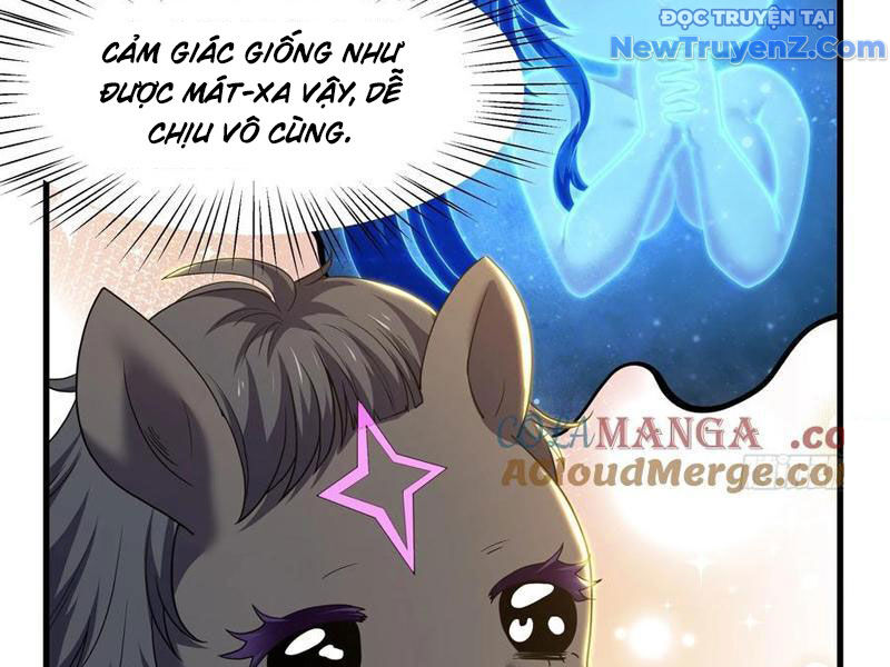 Trụ Vương Tái Sinh Không Muốn Làm Đại Phản Diện Chapter 106 - Trang 2