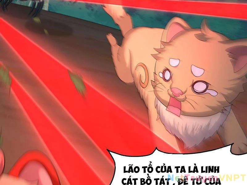 Trụ Vương Tái Sinh Không Muốn Làm Đại Phản Diện Chapter 108 - Trang 2