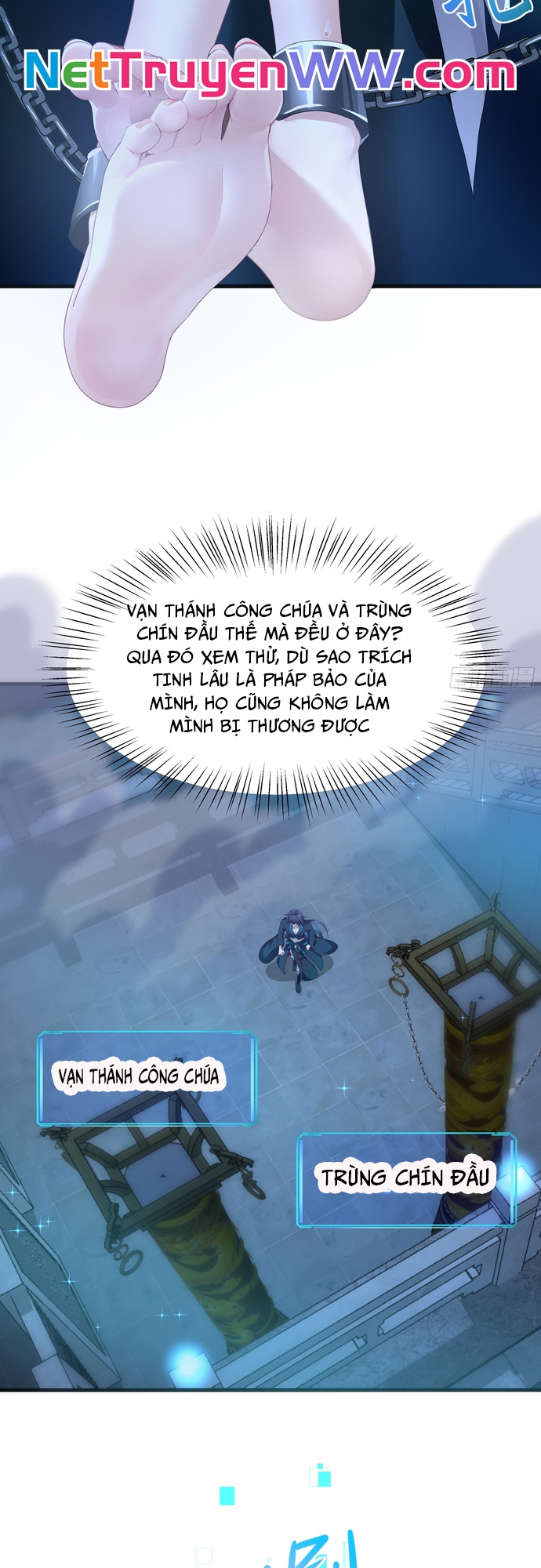 Trụ Vương Tái Sinh Không Muốn Làm Đại Phản Diện Chapter 28 - Trang 2