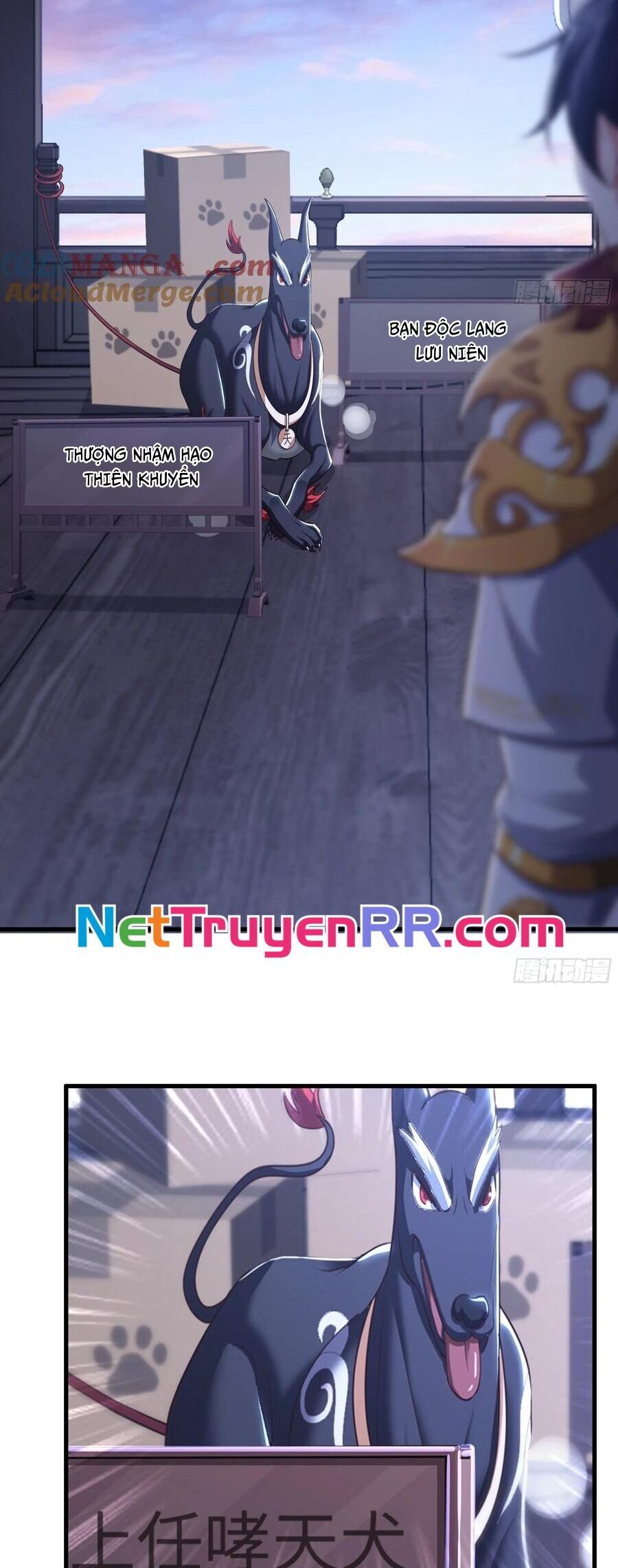 Trụ Vương Tái Sinh Không Muốn Làm Đại Phản Diện Chapter 80 - Trang 2