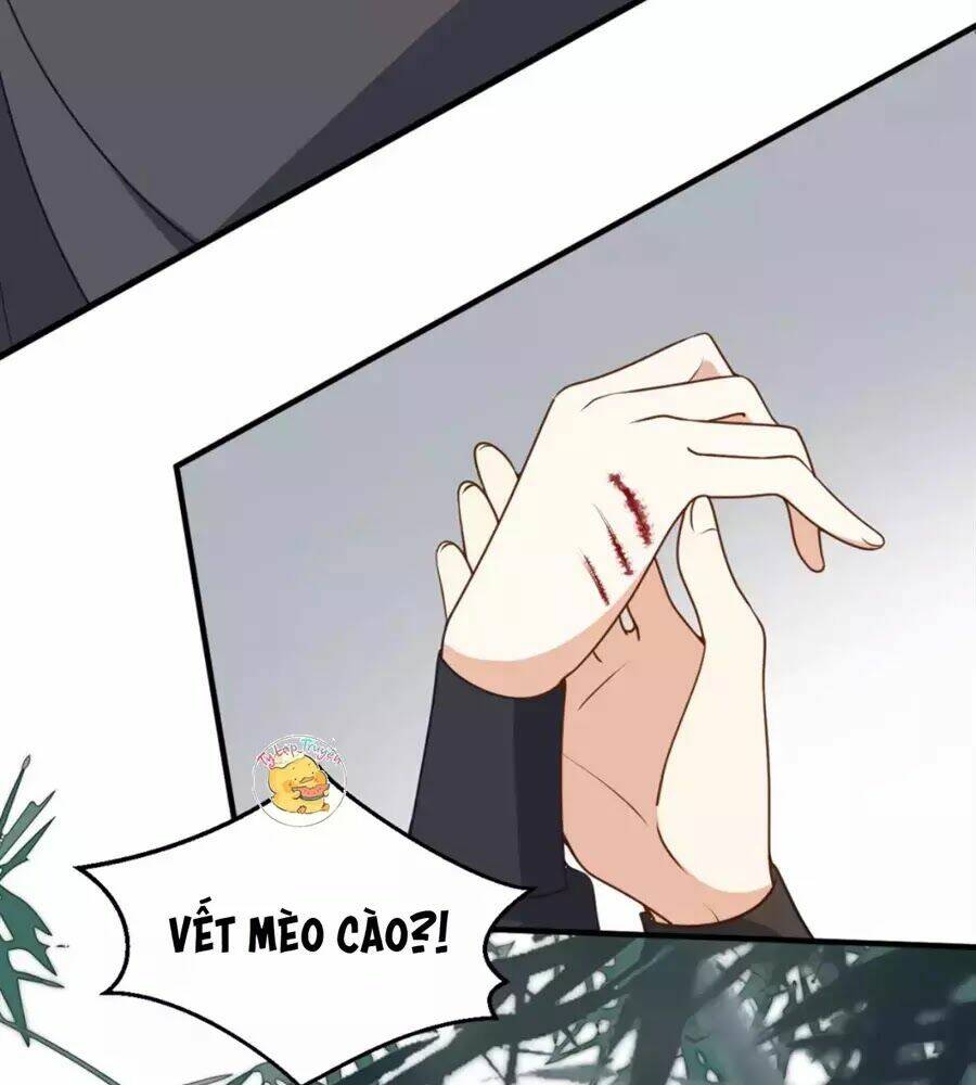 Trùng Sinh Chuyên Sủng Độc Phi Của Nhiếp Chính Vương Chapter 39 - Trang 2