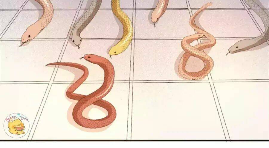 Trùng Sinh Chuyên Sủng Độc Phi Của Nhiếp Chính Vương Chapter 40 - Trang 2