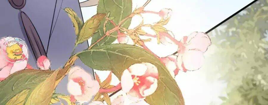 Trùng Sinh Chuyên Sủng Độc Phi Của Nhiếp Chính Vương Chapter 41 - Trang 2