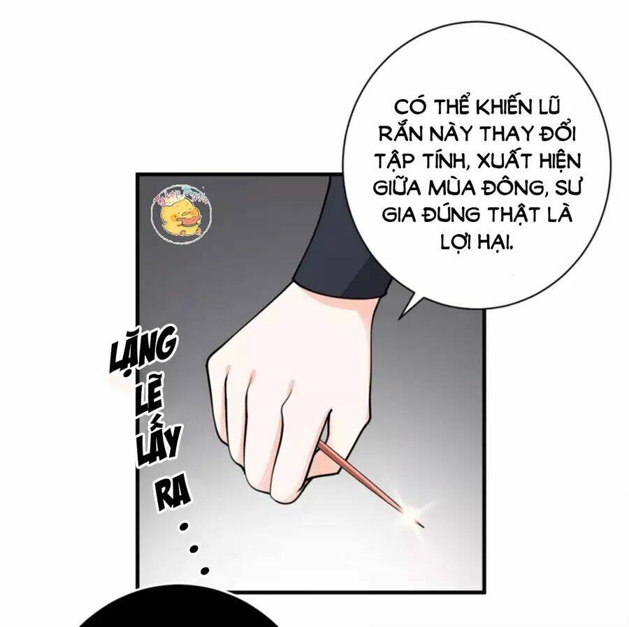 Trùng Sinh Chuyên Sủng Độc Phi Của Nhiếp Chính Vương Chapter 41 - Trang 2