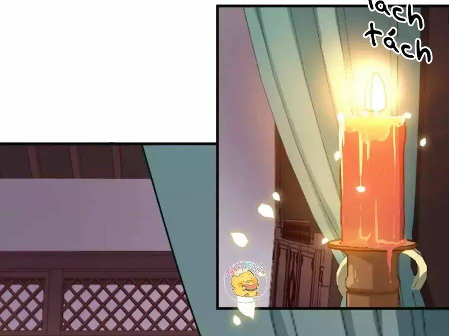 Trùng Sinh Chuyên Sủng Độc Phi Của Nhiếp Chính Vương Chapter 41 - Trang 2