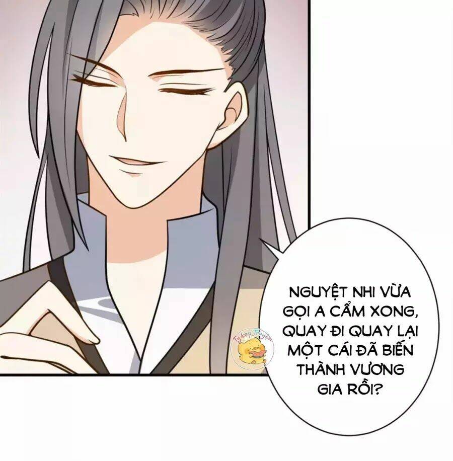 Trùng Sinh Chuyên Sủng Độc Phi Của Nhiếp Chính Vương Chapter 41 - Trang 2