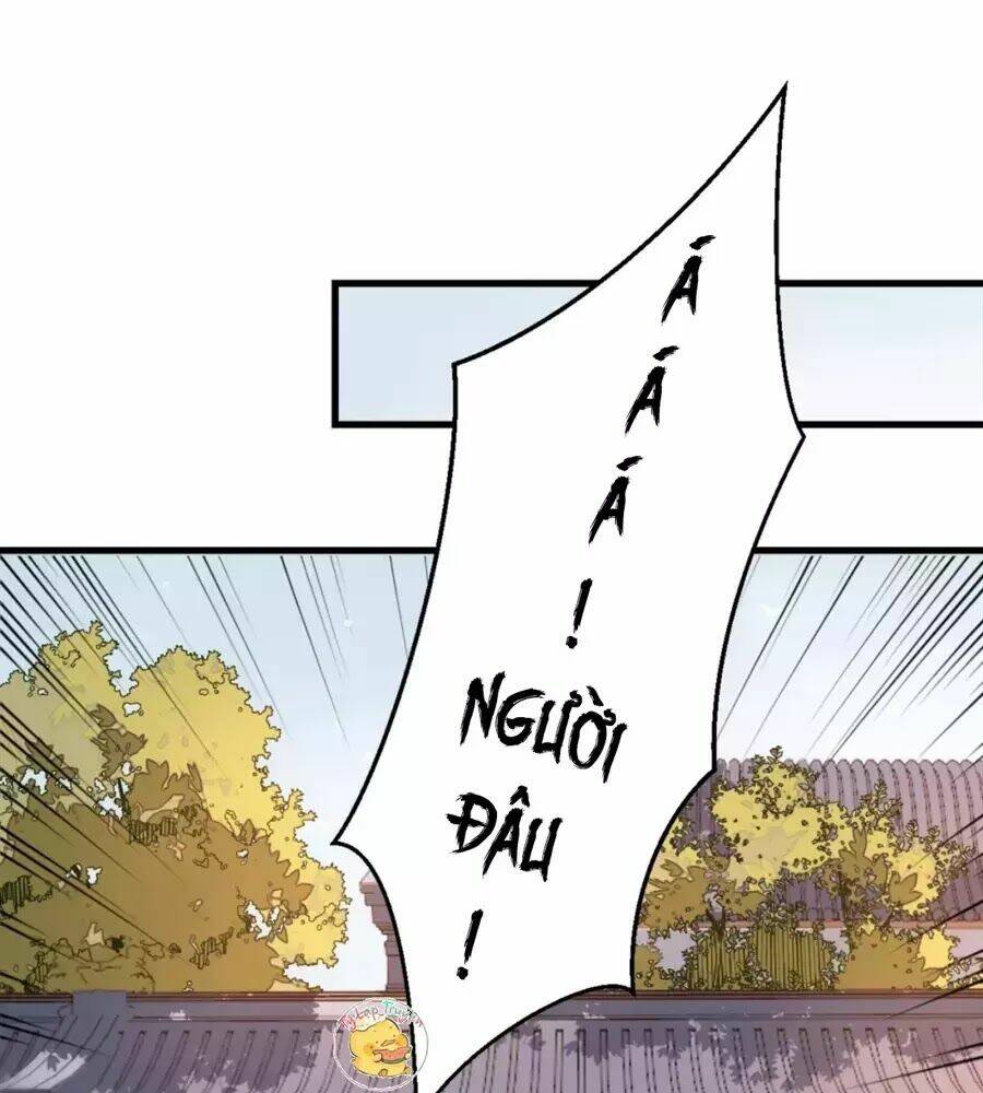 Trùng Sinh Chuyên Sủng Độc Phi Của Nhiếp Chính Vương Chapter 44 - Trang 2