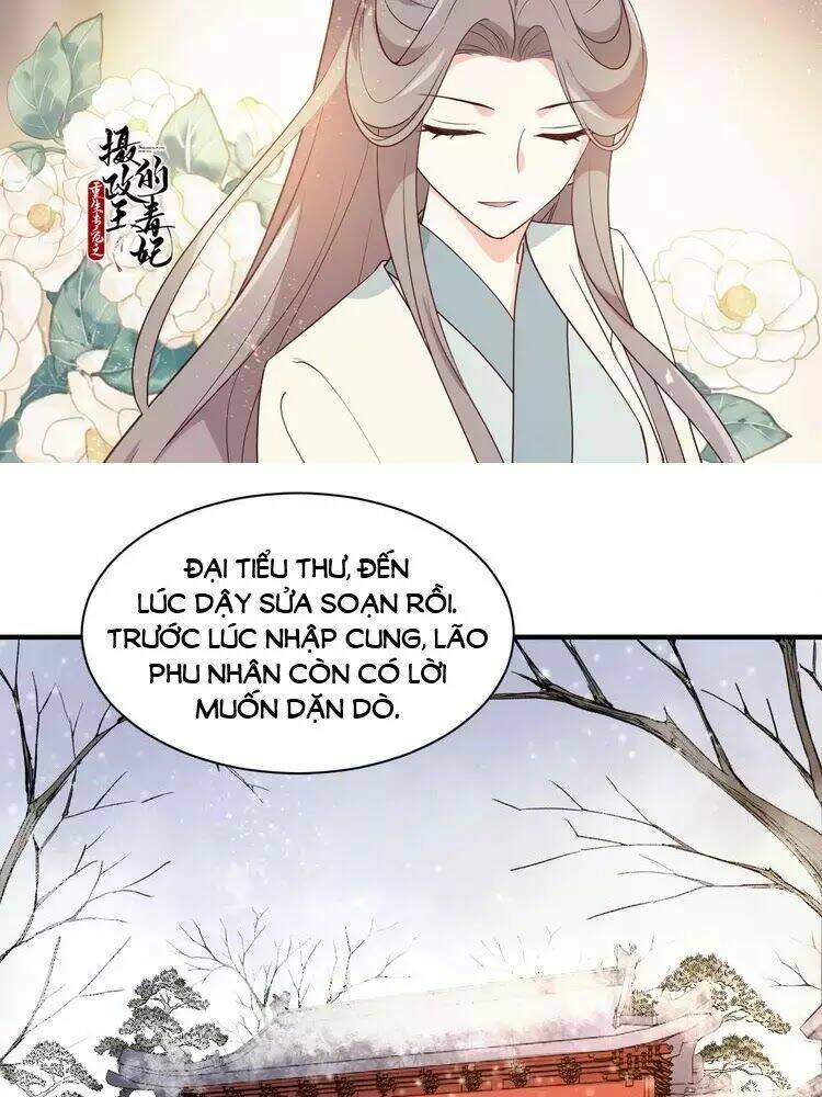 Trùng Sinh Chuyên Sủng Độc Phi Của Nhiếp Chính Vương Chapter 48 - Trang 2