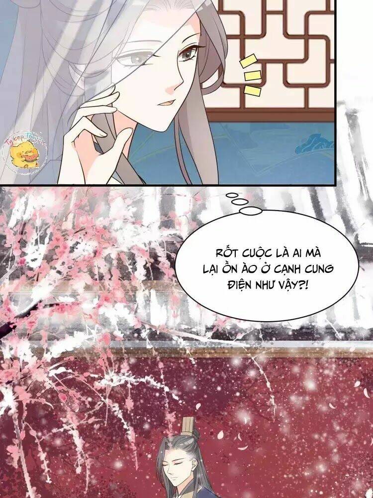 Trùng Sinh Chuyên Sủng Độc Phi Của Nhiếp Chính Vương Chapter 48 - Trang 2