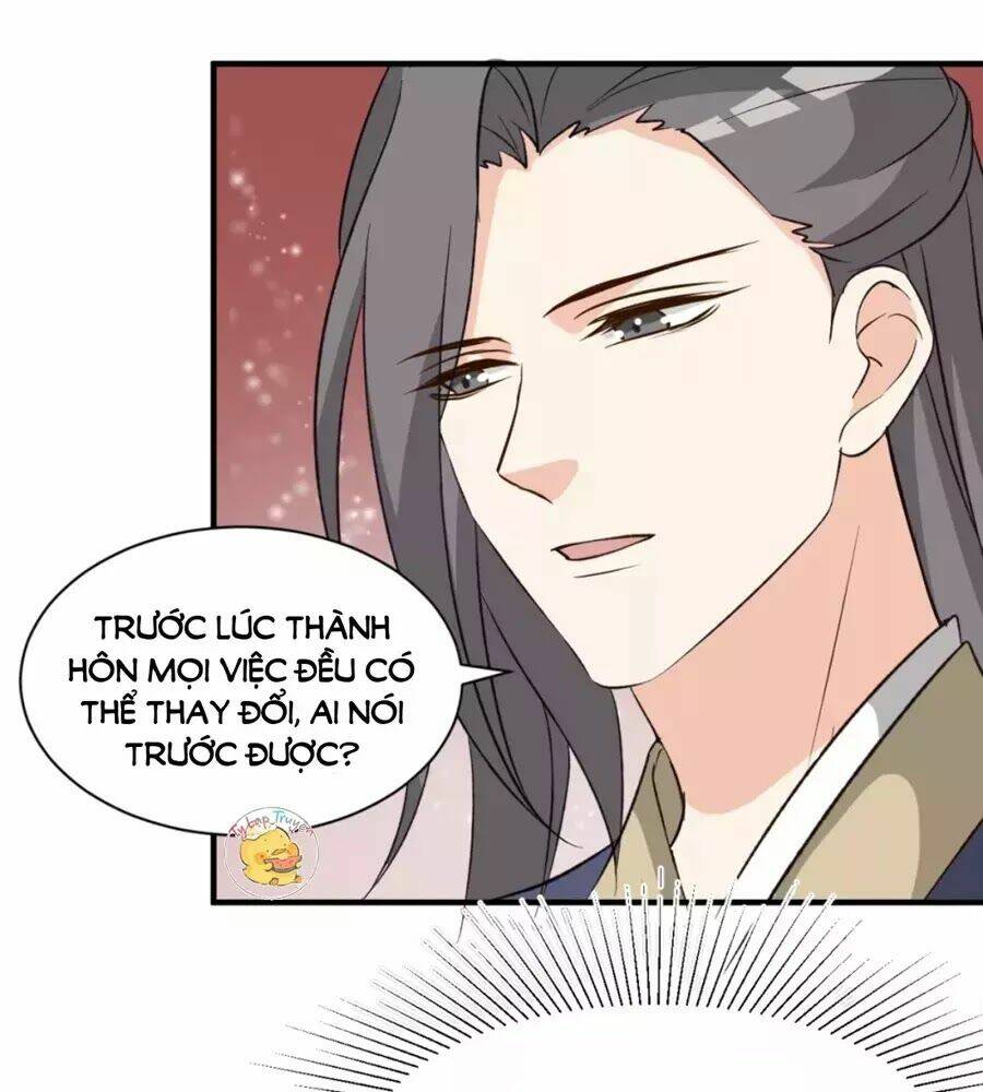Trùng Sinh Chuyên Sủng Độc Phi Của Nhiếp Chính Vương Chapter 49 - Trang 2