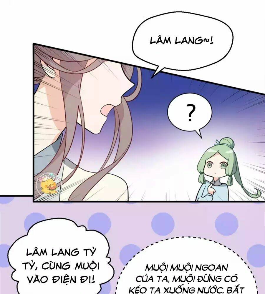 Trùng Sinh Chuyên Sủng Độc Phi Của Nhiếp Chính Vương Chapter 50 - Trang 2