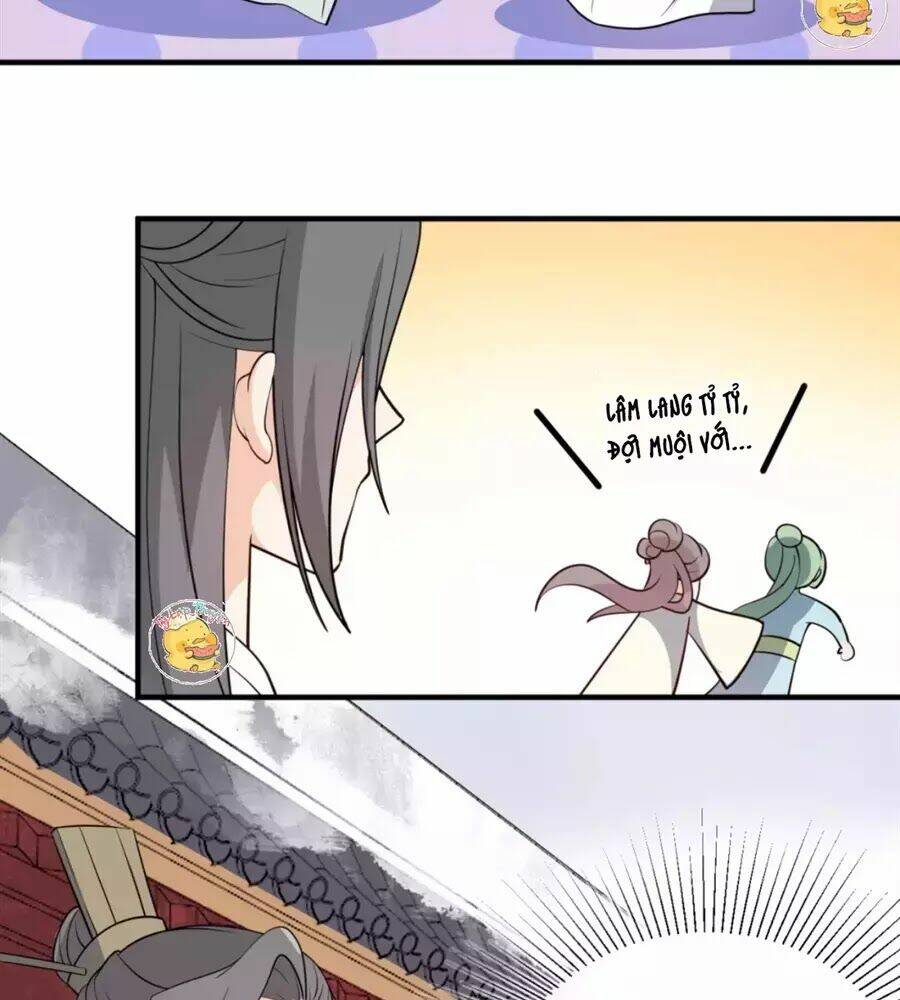 Trùng Sinh Chuyên Sủng Độc Phi Của Nhiếp Chính Vương Chapter 50 - Trang 2