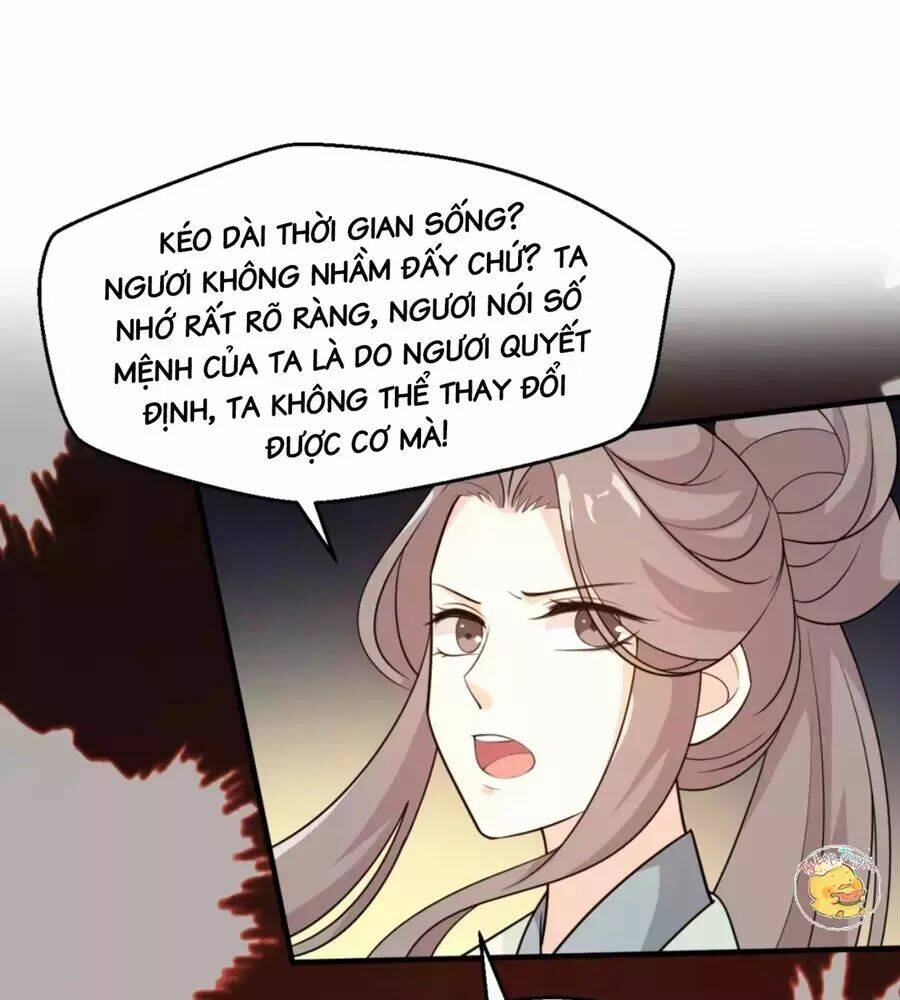 Trùng Sinh Chuyên Sủng Độc Phi Của Nhiếp Chính Vương Chapter 50 - Trang 2