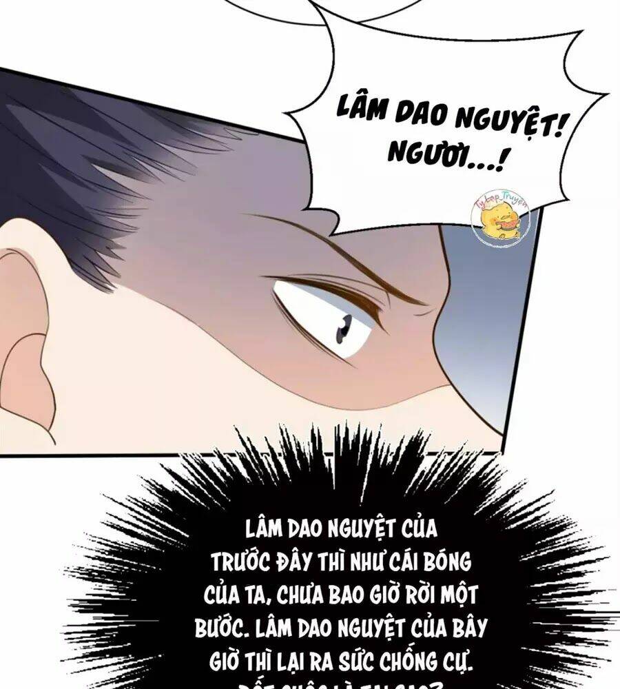 Trùng Sinh Chuyên Sủng Độc Phi Của Nhiếp Chính Vương Chapter 51 - Trang 2