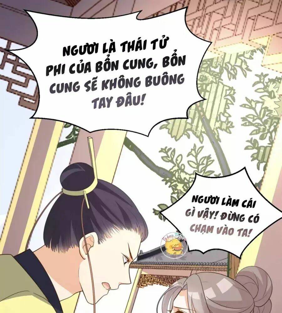 Trùng Sinh Chuyên Sủng Độc Phi Của Nhiếp Chính Vương Chapter 51 - Trang 2