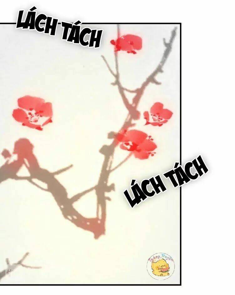 Trùng Sinh Chuyên Sủng Độc Phi Của Nhiếp Chính Vương Chapter 53 - Trang 2