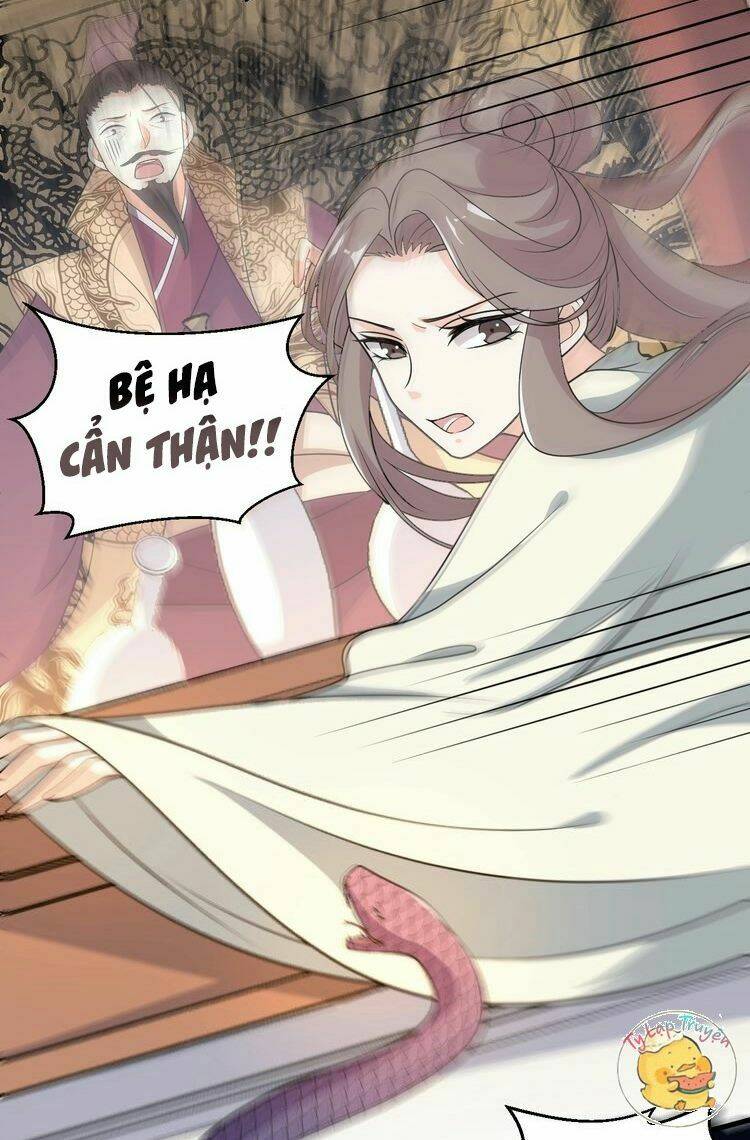 Trùng Sinh Chuyên Sủng Độc Phi Của Nhiếp Chính Vương Chapter 54 - Trang 2