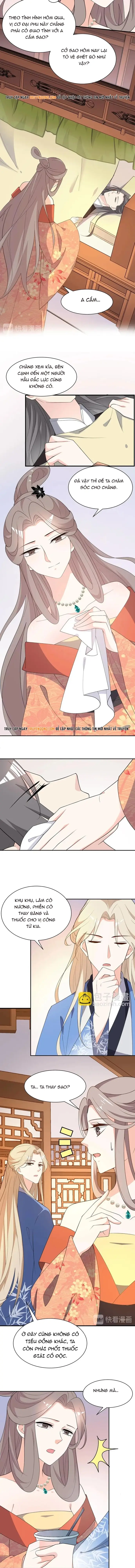 Trùng Sinh Chuyên Sủng Độc Phi Của Nhiếp Chính Vương Chapter 67 - Trang 2