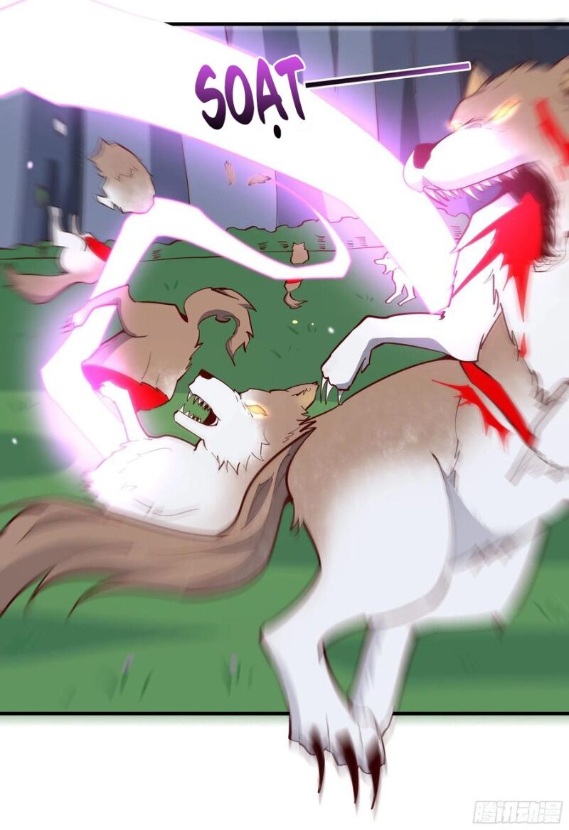 Trùng Sinh Đô Thị Thiên Tôn Chapter 155 - Trang 2