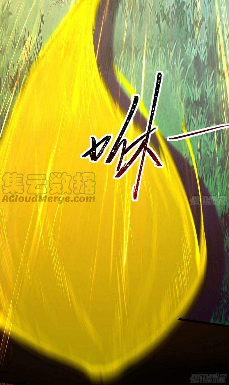 Trùng Sinh Đô Thị Thiên Tôn Chapter 246 - Trang 2