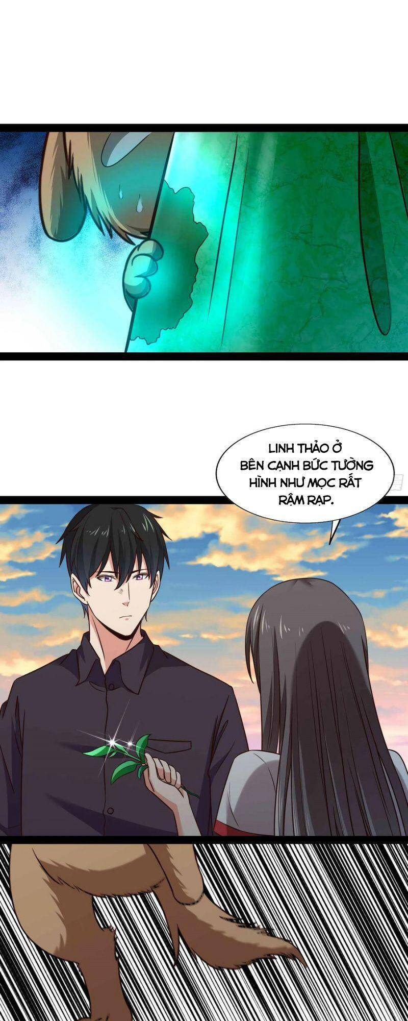 Trùng Sinh Đô Thị Thiên Tôn Chapter 296 - Trang 2