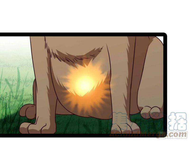 Trùng Sinh Đô Thị Thiên Tôn Chapter 296 - Trang 2