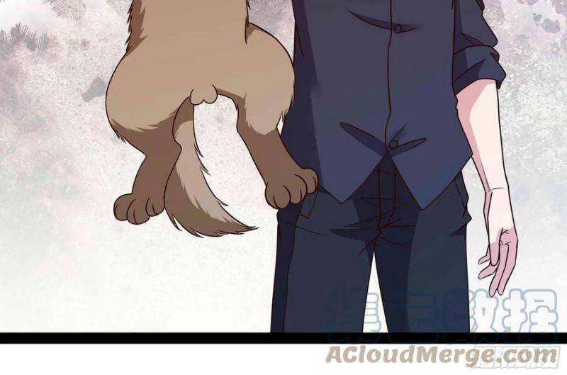 Trùng Sinh Đô Thị Thiên Tôn Chapter 296 - Trang 2