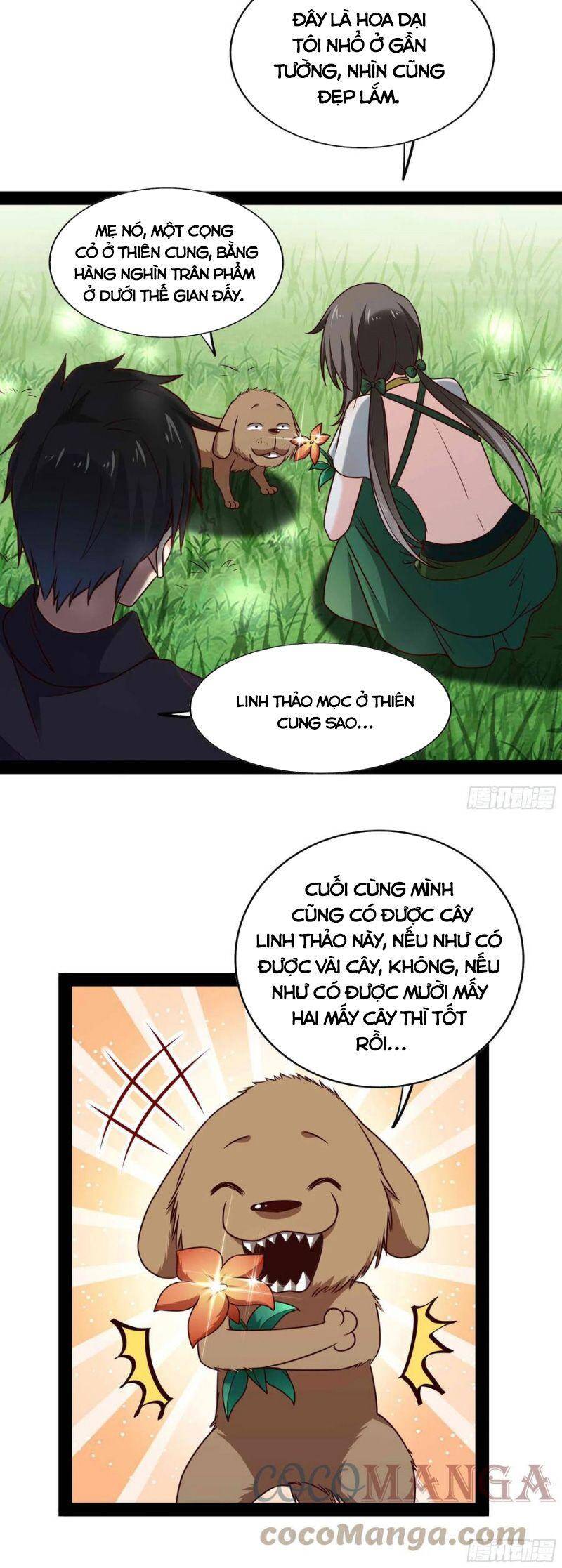 Trùng Sinh Đô Thị Thiên Tôn Chapter 297 - Trang 2